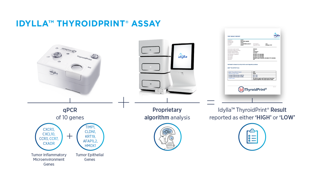 thyroidprint_workflow.png